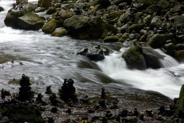 Going back along the river 
