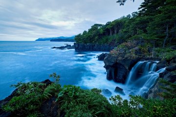 The East Coast of Izu 