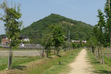 Mt. Mii in May. It looks like a mountain from this angle.