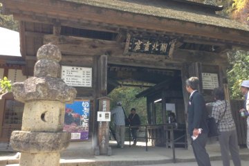 Walk through the bottom gate and start climbing!
