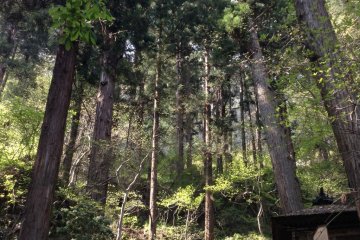 While the hike is not easy, it isn't completely unenjoyable. Buddhist statues and relics, along with abundant nature, surround you at every turn.