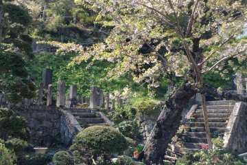 Several small gardens are found along the walk as well. The area is most beautiful during spring or early fall.