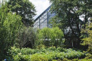 Nakanojo Garden