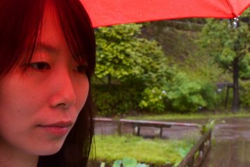 A Red Umbrella