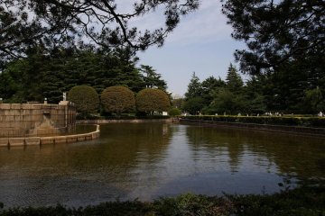 Nature surrounds the gallery