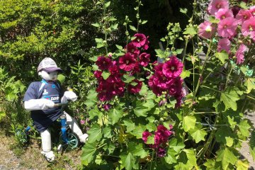 Playing in the garden
