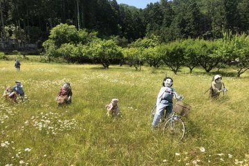 Family in the field