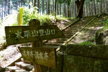 Stone steps beside a tiny shrine of Kyakujin-jinja