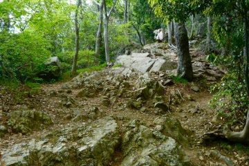 Sometimes, the path becomes rough