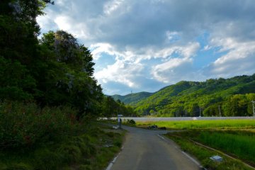 A pleasant road coming back to JR Ohira-shita Station from Daichu-ji Temple