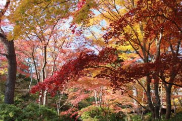 Natures strikes its paintbrush with profound beauty