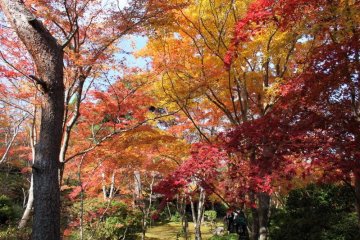 Arashiyama