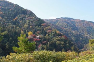 Nestled in the hills, a tiny shrine