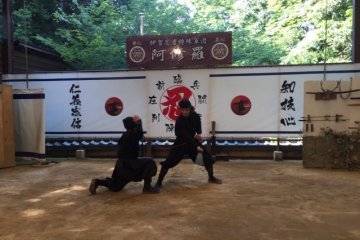 Ninja show