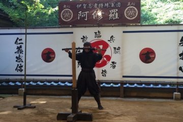 Ninja show