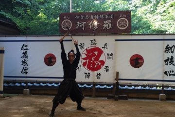 Ninja show