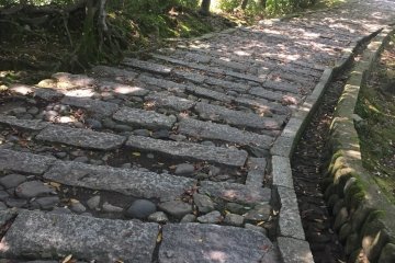 The way to the castle