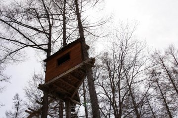 Treehouse will be getting some use shortly