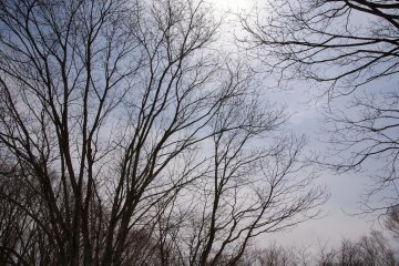 Warm spring sun warms up Niseko