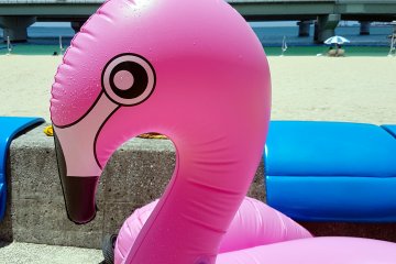 Everything you need, even pink flamingos