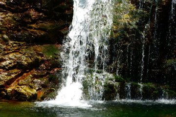 Tategoto-no-taki Falls (Harp Falls)