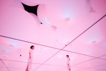 Expanding Three-dimensional Existence in Intentionally Transforming Space - Free Floating, 12 Colors // teamLab, 2018