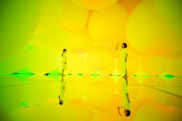 Expanding Three-dimensional Existence in Intentionally Transforming Space - Free Floating, 12 Colors // teamLab, 2018