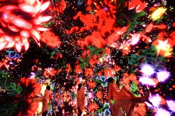 Floating in the Falling Universe of Flowers // teamLab, 2016-2018