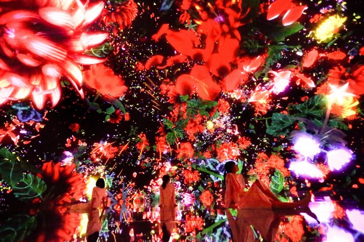 Floating in the Falling Universe of Flowers // teamLab, 2016-2018