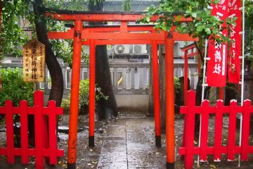 The torii to the small side shrine (on the left side of the main building).