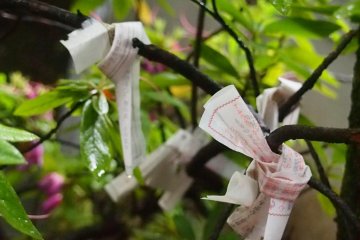 Omikuji (luck and fortunes written on strips of paper and drawn at random) that proclaim bad luck are usually tied to trees or wires at the shrine, in hopes that the bad luck will ‘wait’ at the tree (pun on words in Japanese).