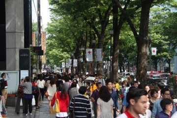 Cat Street, Harajuku/Omotesando
