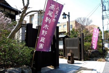 Purple banners mark the garden entrance