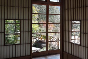 A view of the garden