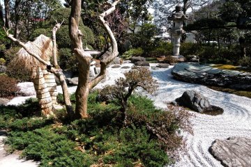 The dry garden