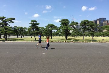 Run by expansive gardens. 