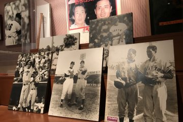 Bats, balls, baseball cards and prints are all on display