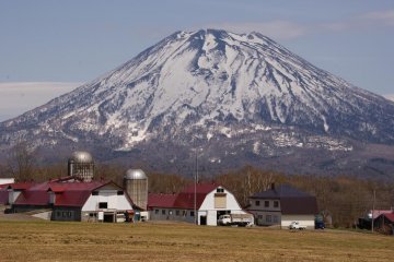 Takahashi Dairy Farm in Niseko