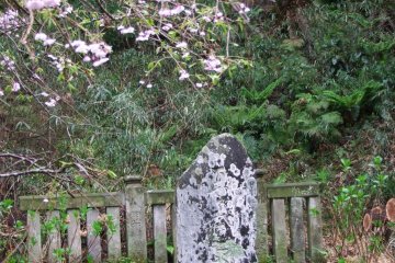 <p>Gravestone and stone fence</p>