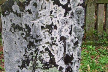 <p>Gravestone close up; covered in moss</p>