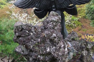 <p>Goblins with wings</p>