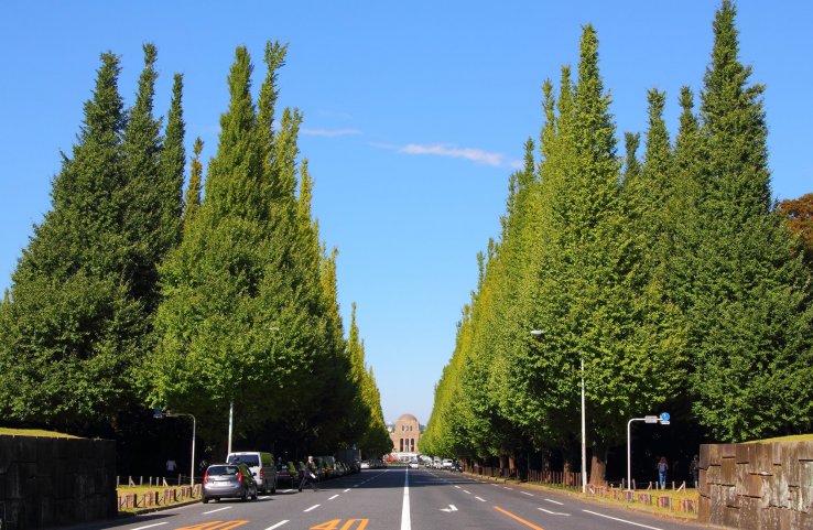 Meiji Jingu Gaien