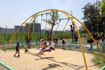 swings