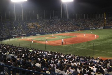 <p>The Tokyo faithful</p>