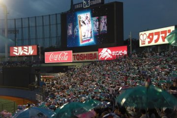 <p>Home run!</p>