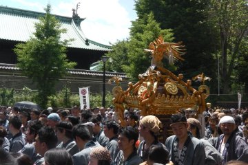 Carrying the mikoshi down the street
