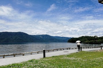 The lake shore