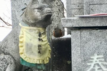 Guardian Wolf and Bird