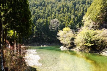Tenkawa River