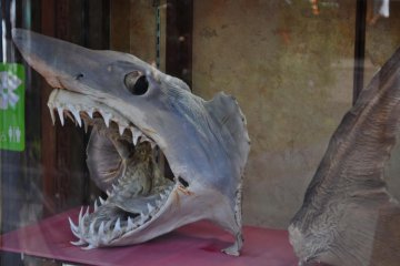 I found this next to a food display. I'm guessing this is where one goes to get shark fin soup.